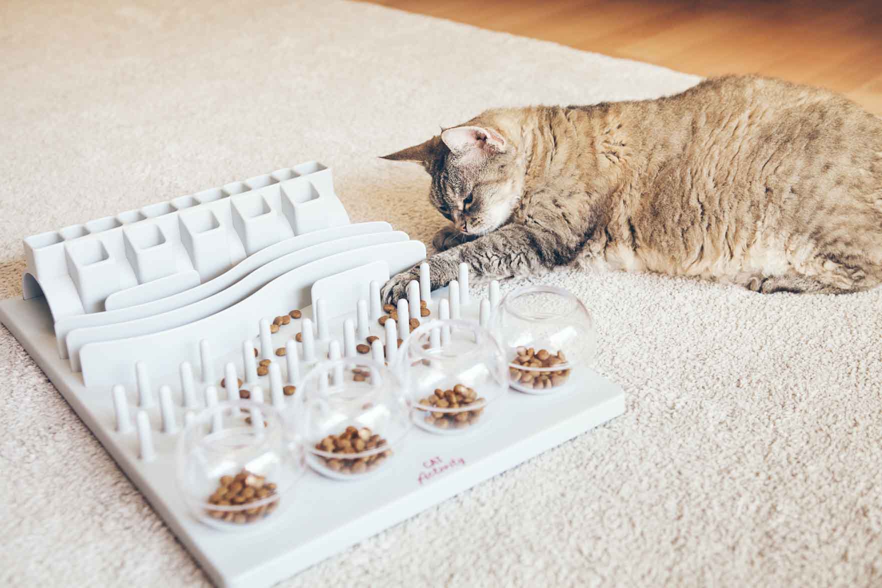 Kissan ruokinta – Kokeile ruokintapelejä kissan vaistojen herättämiseksi -  Omaeläinklinikka